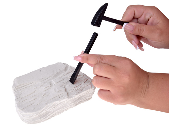 Archaeology Kit Dig Up a Surprise Fossilized Leaves and Bones ZA5753