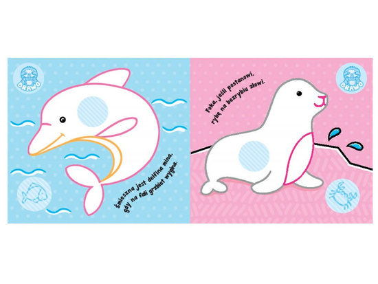 Aksjomat Zwierzęta morskie. Kolorowanka z grubym obrysem KS0492