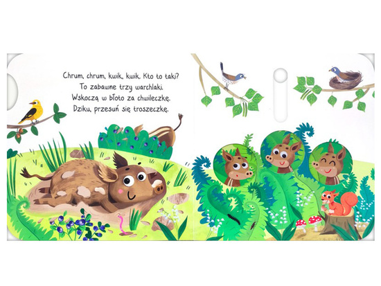 Aksjomat Książeczka Co odkryję paluszkiem? W lesie KS0821