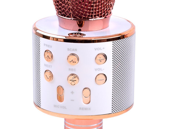 Wireless karaoke microphone speaker IN0136