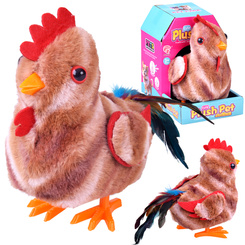 The toddling ROOSTER, Bogdan, you little cock! - crows and flaps his wings ZA6018