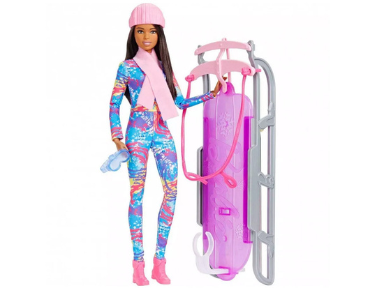 Mattel Barbie You Can Be Anything Winter Doll + Sled ZA6033