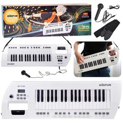 Electric piano plus microphone, toy instrument for children IN0173