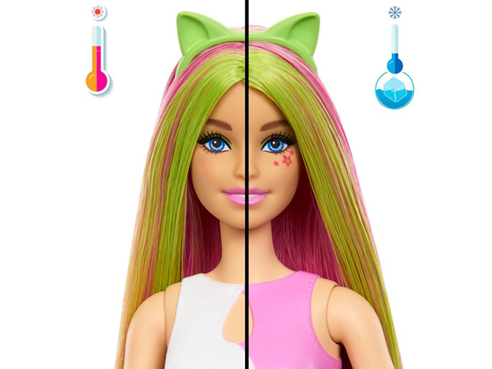 Mattel Barbie Pop Reveal doll from the series: Shake + cat and accessories ZA6061
