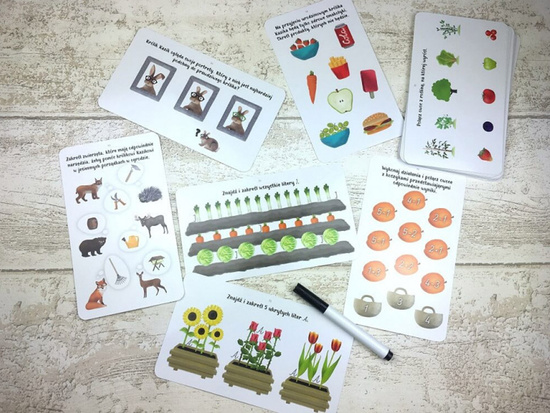 Kapitan Nauka Rysuję i zgaduję z królikiem Kazikiem karty z zadaniami KS1036