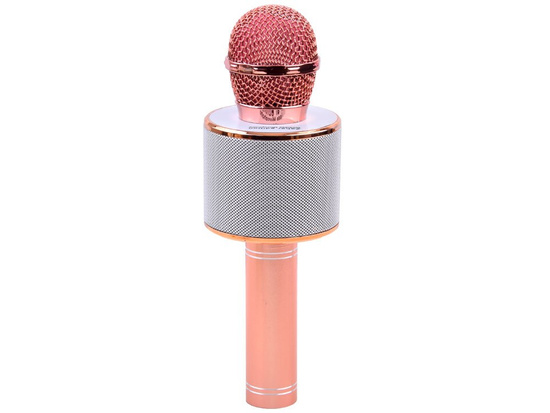 Wireless karaoke microphone speaker IN0136
