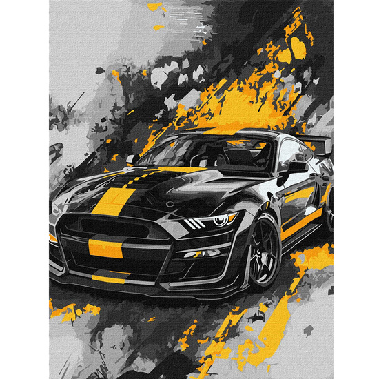 Paint by number kit 30x40cm KHO5155 Sport style AP0091