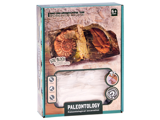 Archaeology Kit Dig Up a Surprise Fossilized Leaves and Bones ZA5753