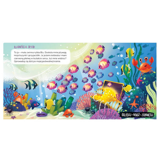 Aksjomat Kolorowa książeczka Co zobaczę W morzu KS0470
