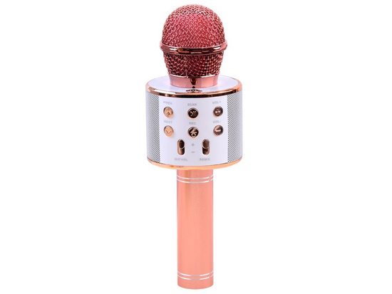 Wireless karaoke microphone speaker IN0136