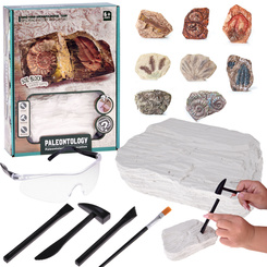 Archaeology Kit Dig Up a Surprise Fossilized Leaves and Bones ZA5753