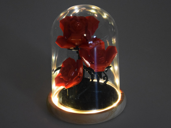 Illuminated ROSE under the dome - flowers, 219 pieces ZA5901