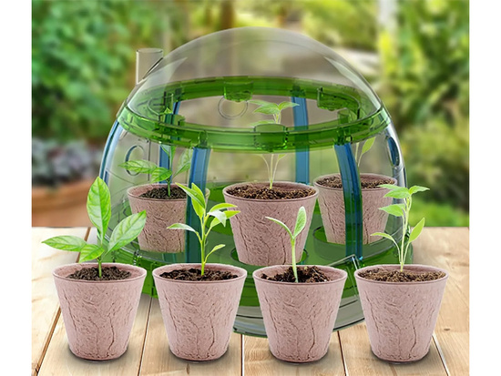 Little Gardener BIO Set – Greenhouse, Seeds, and Pots for Growing Plants ZA5776