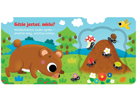 Aksjomat Otwórz okienko! Gdzie jesteś, misiu? KS1120