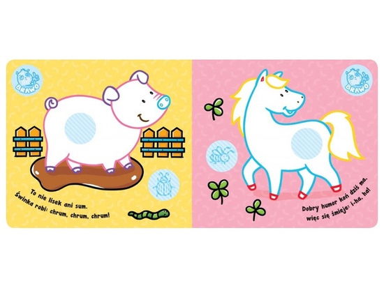 Aksjomat Zwierzęta na wsi. Kolorowanka z grubym obrysem KS0515