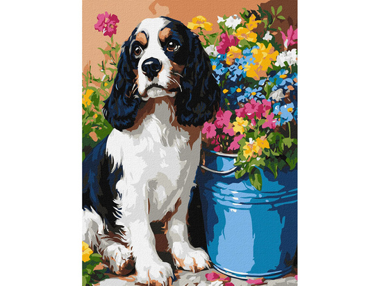 Painting by numbers kit Lovely spaniel KHO6672 30x40 AP0056
