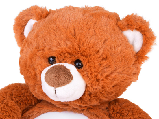 Teddy bear star projector with lullabies and sleep lamp ZA5713