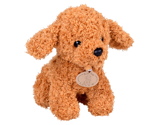 Wooden Veterinary Clinic – Vet Clinic with Puppy + Accessories ZA5939