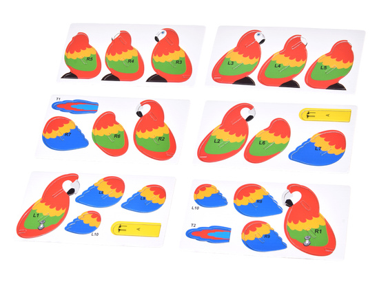 3D puzzle cardboard model colorful MACAW PARROT do it yourself DIY 24 pieces ZA5719