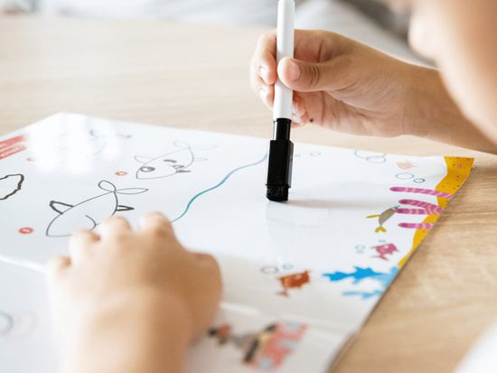 Captain Science Doodles Learn to Draw. Animals KS1198