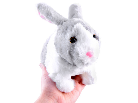 Interactive pet Rabbit guinea pig ZA2685