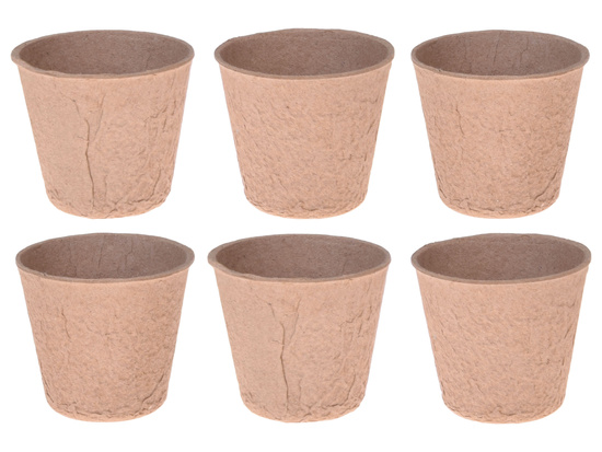 Little Gardener BIO Set – Greenhouse, Seeds, and Pots for Growing Plants ZA5776