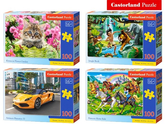 Castorland Puzzle 100 el. wzory CA0035