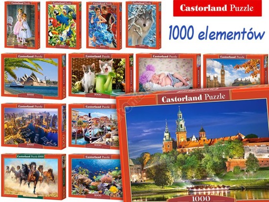 Castorland Puzzle 1000 elem. Piękne obrazy CA0017