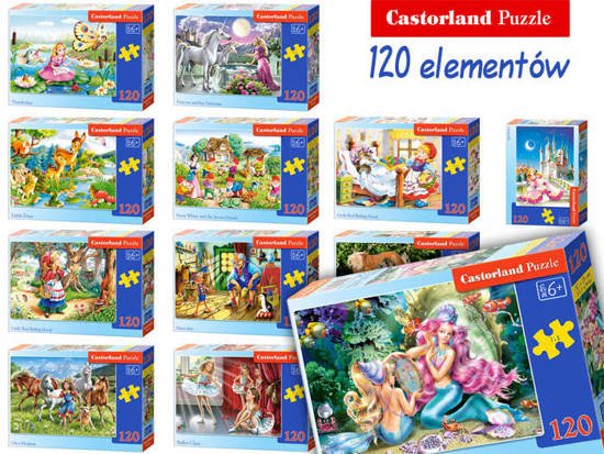 Castorland Puzzle 120 el duży wybór CLASSIC CA0007