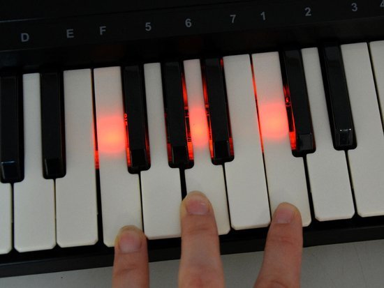 Organy z mikrofonem podświetlane klawisze IN0121