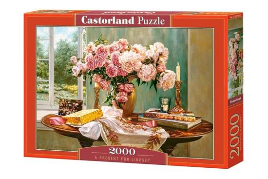 Puzzle 2000 el. A present for Lindsey