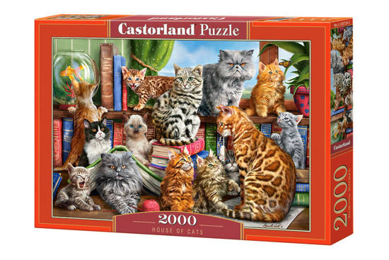 Puzzle 2000 el. House of Cats