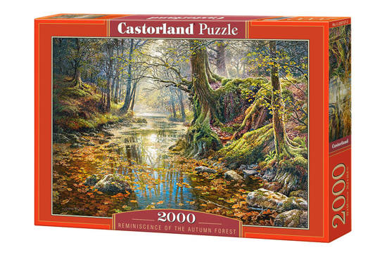 Puzzle 2000 el. Reminiscence of the Autumn Forest